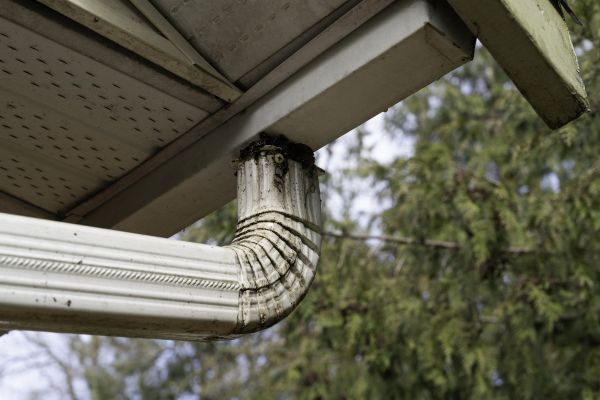 Roof Drain Replacement in Hillsboro